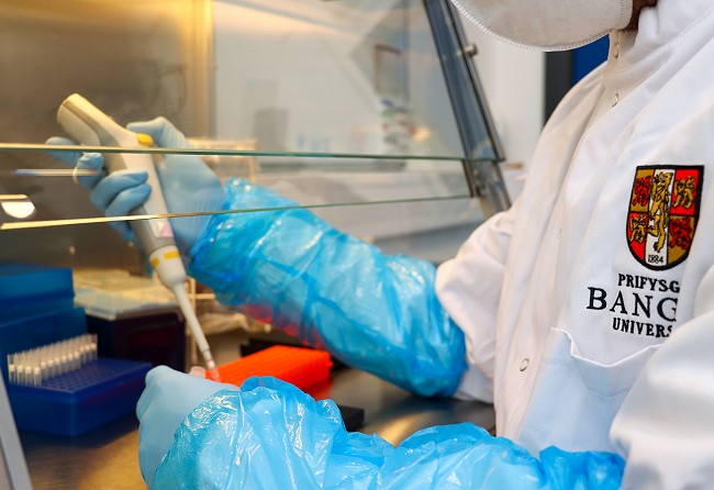 Bangor University scientist conducting tests in laboratory
